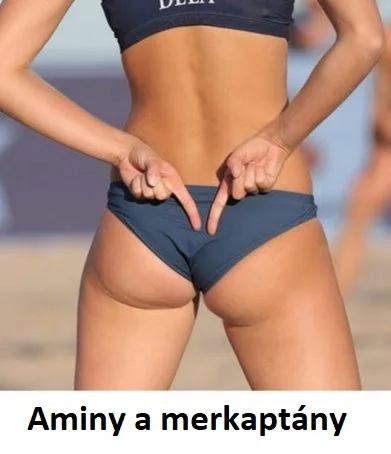 Aminy a merkaptány