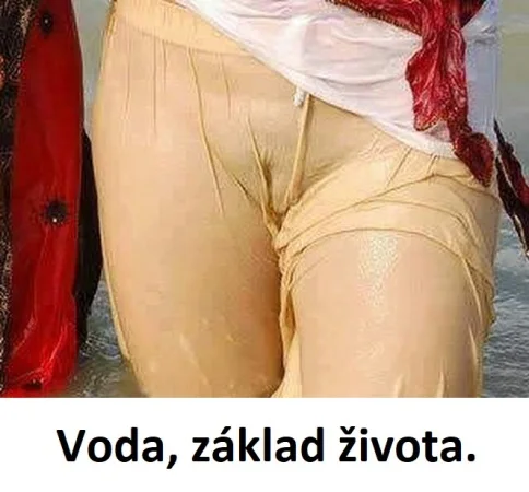 Voda, základ života