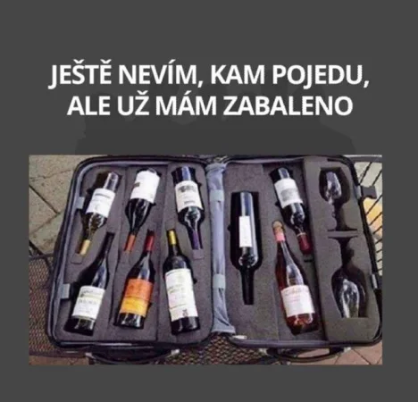 Služební cesta