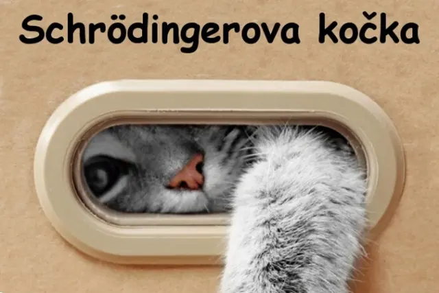 Schrödingerova kočka