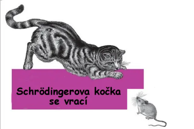 Schrödingerova kočka