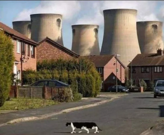Schrödingerova kočka