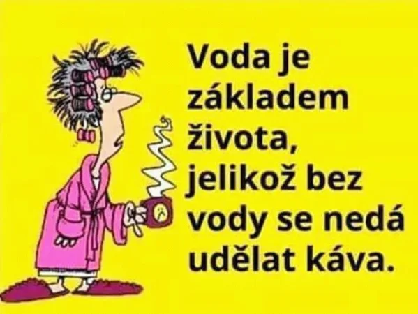 Voda, základ života