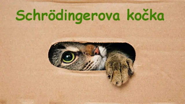 Schrödingerova kočka