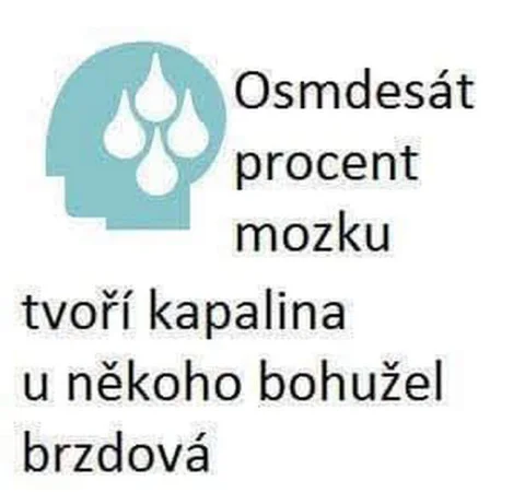 Brzdová kapalina