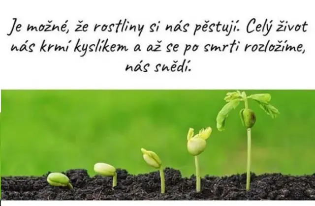 Koloběh života