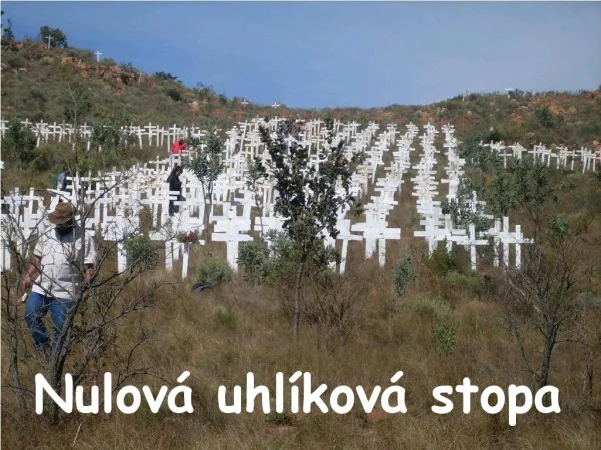 Nulová uhlíková stopa