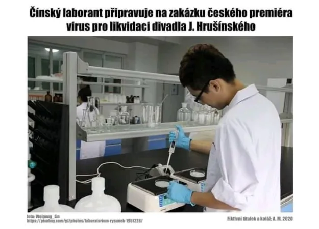 Virus Hrušínský
