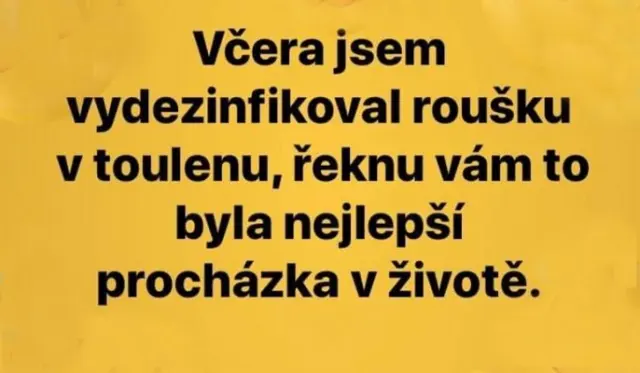 Dezinfekce toluenem