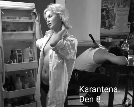 Karanténa