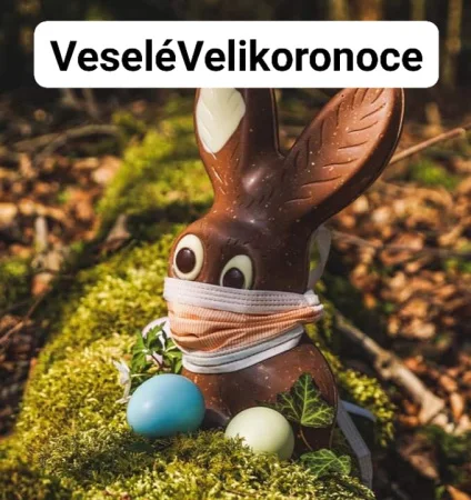 92374137_123652355930198_2962106195202015232_n
