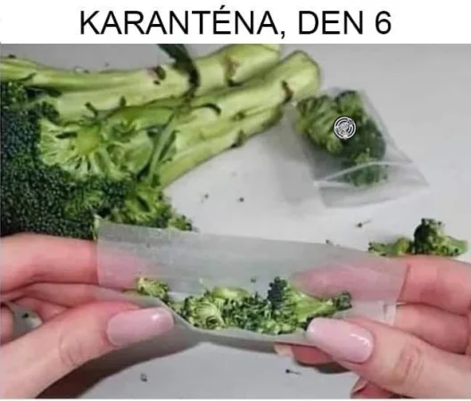 Karanténa, den šestý