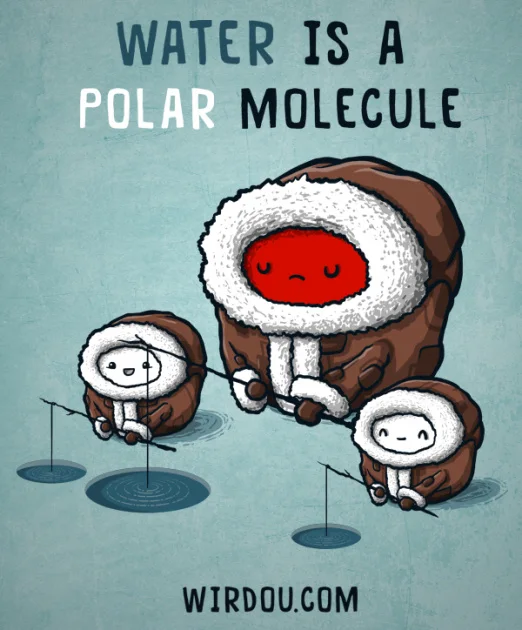 Polární molekula