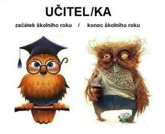 Učitel/ka