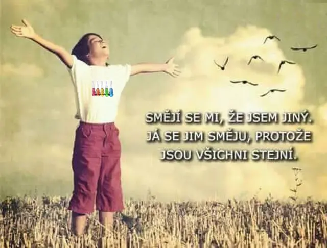 Stejnost