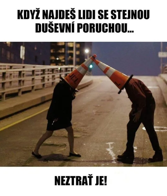 Duševní porucha