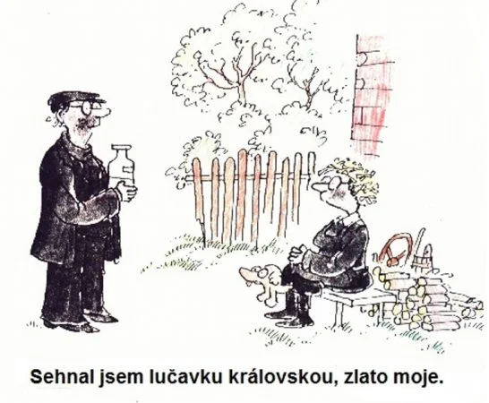 Renčín, lučavka královská
