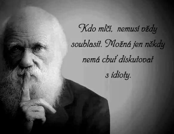Mlčení